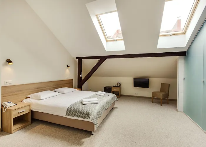 旧城特里奥酒店 3* 维尔纽斯